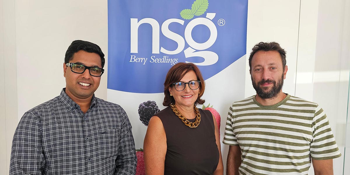 NSG sigla una partnership esclusiva per lo sviluppo delle cultivar di fragola in India